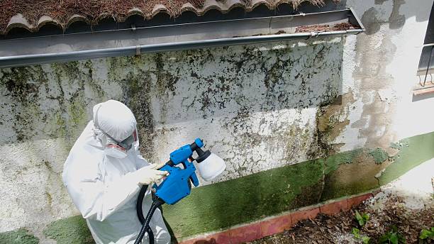 Top rated local Mold Testing specialists in Bloomingdale, GA
